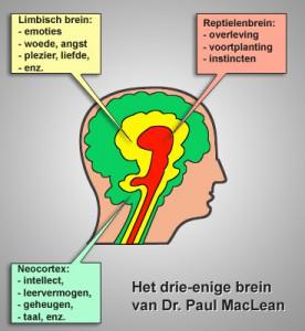 Limbische systeem