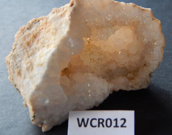 Witte celestien WCR012